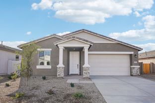 Violet - Wales Ranch: San Tan Valley, Arizona - Ashton Woods