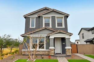 Pinnacle - Union Park at Norterra Phase 2: Phoenix, Arizona - Ashton Woods