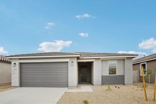 Marigold - Sunset Farms: Tolleson, Arizona - Ashton Woods