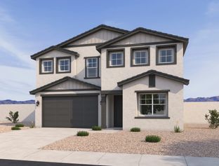 Daisy - Visara: Surprise, Arizona - Ashton Woods