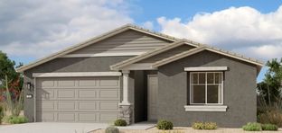 Larkspur - Wales Ranch: San Tan Valley, Arizona - Ashton Woods