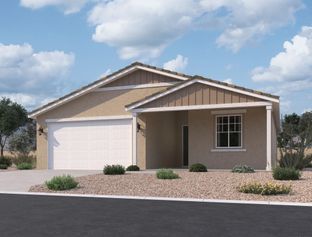 Marigold - Sunset Farms: Tolleson, Arizona - Ashton Woods