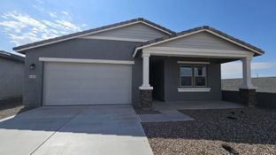 Lavender - Skyline Village: San Tan Valley, Arizona - Ashton Woods