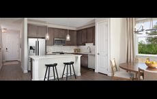 Towns at The Point: Rolesville, North Carolina - Ashton Woods