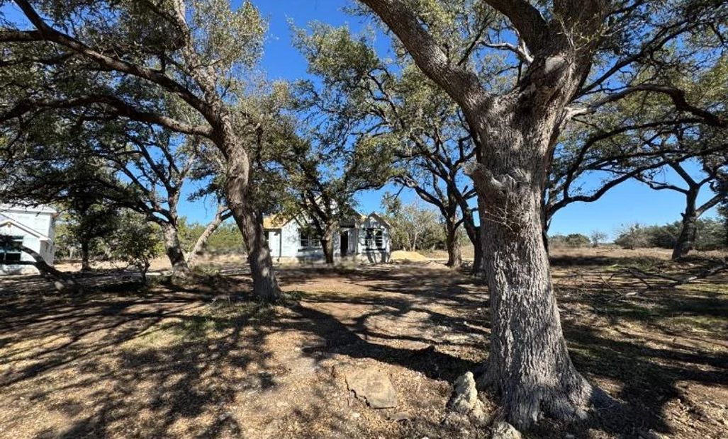 10891 Chestnut Warbler (Alexander II)