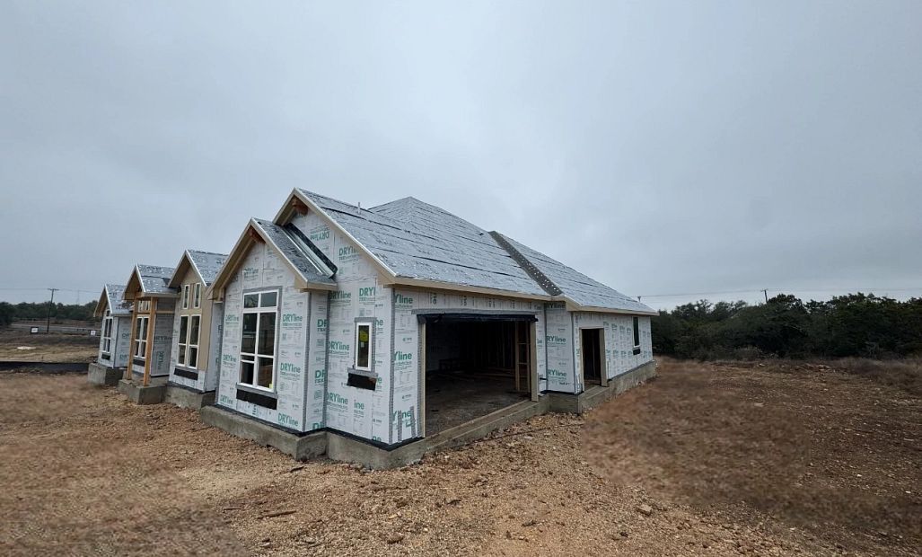 10679 Chestnut Warbler (Cobe)