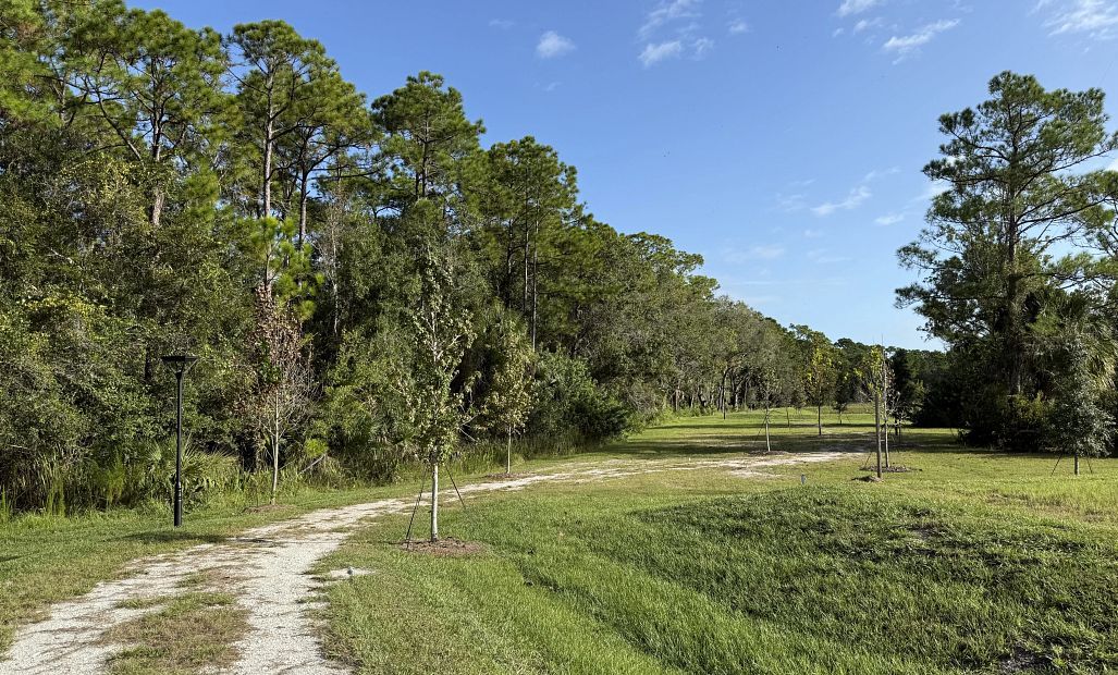 Take in the beautiful natural surroundings on the community walking trail
