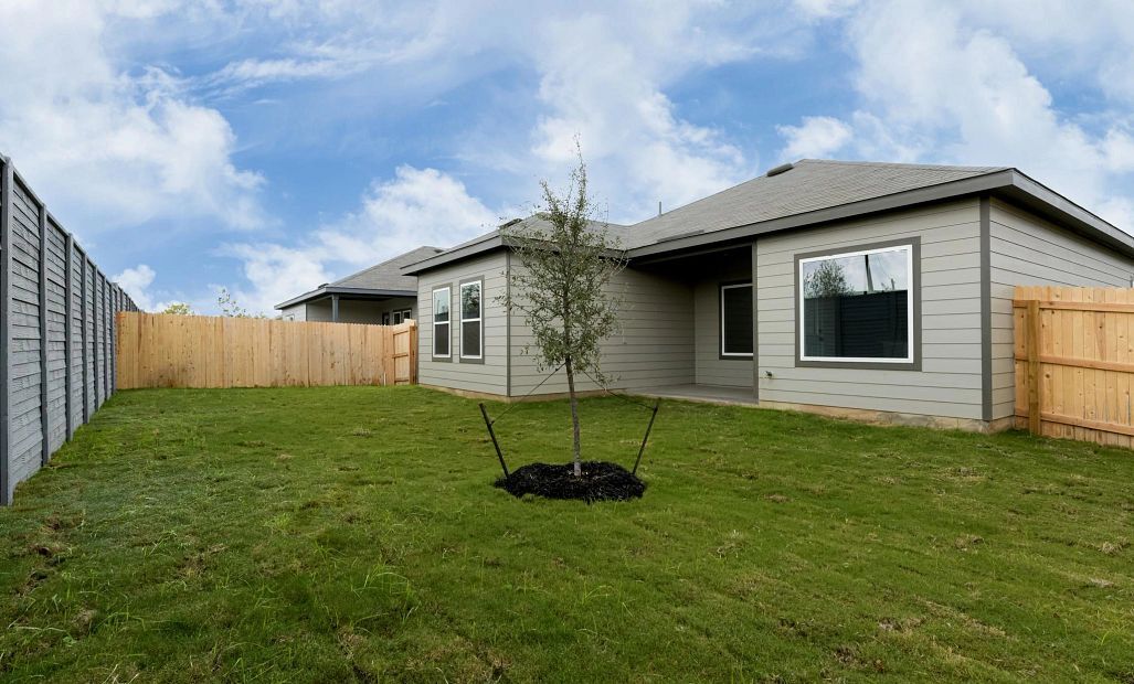 Rear Elevation