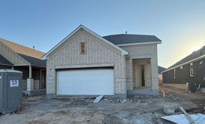 108 Lion Tail Cove (Ladybird)