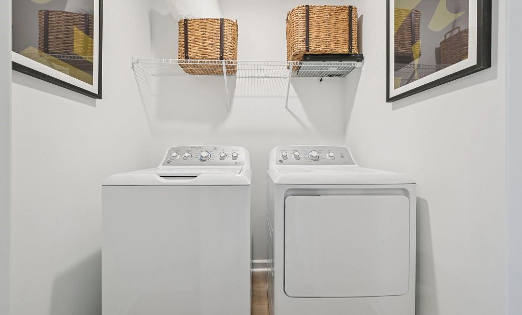 This image is a representative photo
