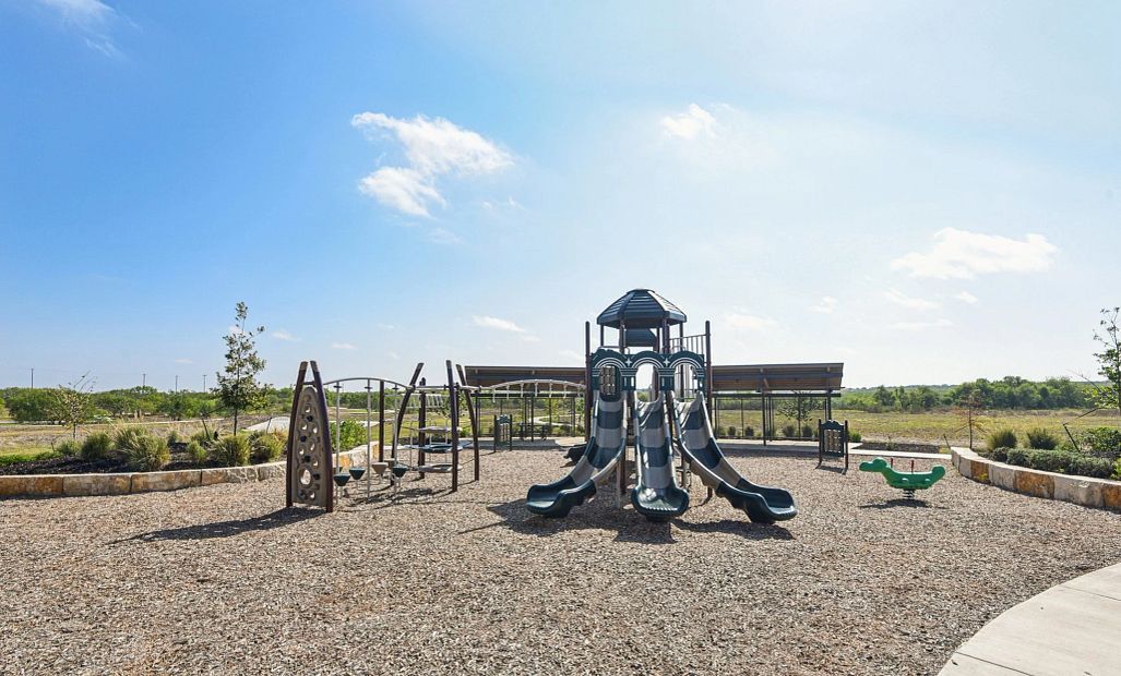 The Wilder Playground