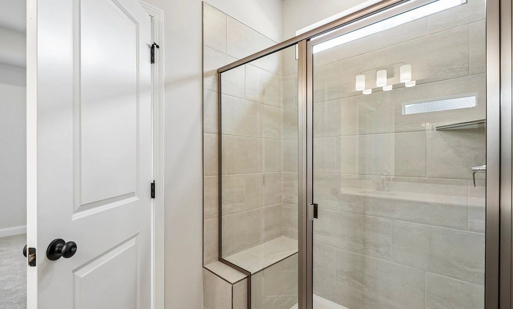 Primary Walk-in Shower