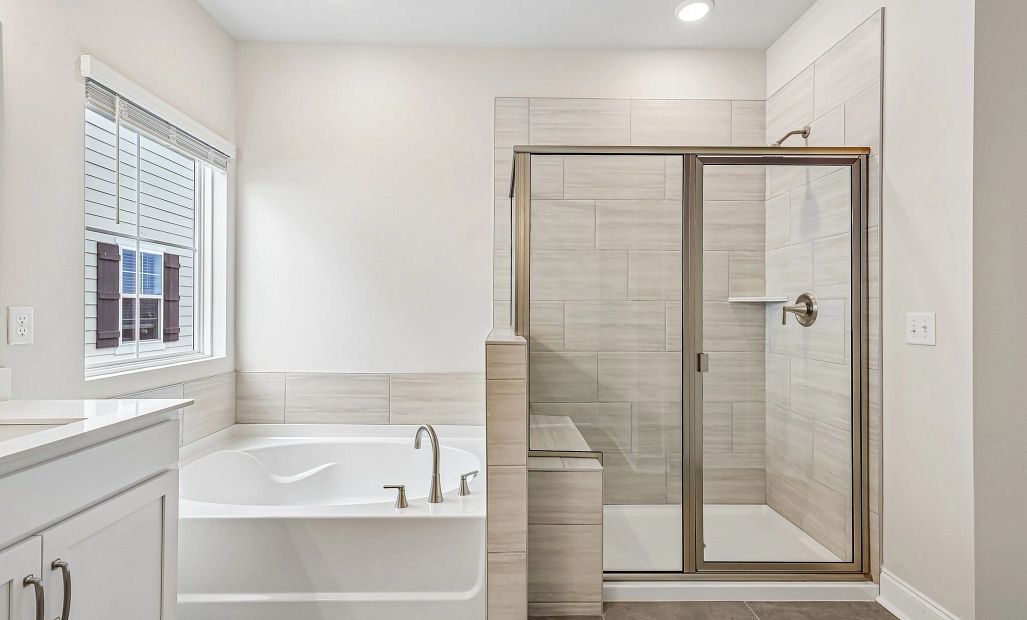Primary Bathtub & Walk-In Shower