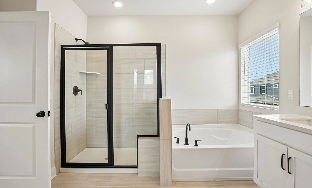 Primary Walk-in Shower & Bathtub