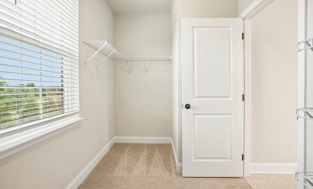 Primary Walk-in Closet