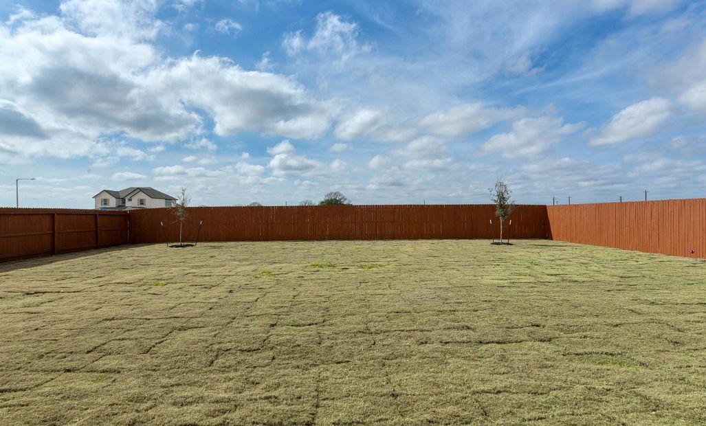 Backyard