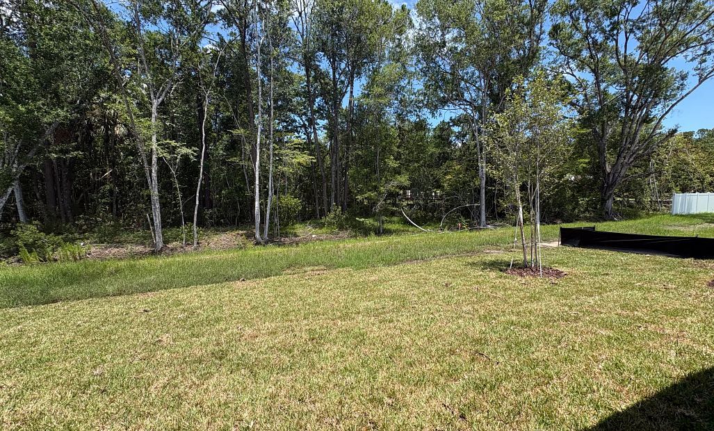 Backyard with a beautiful treed backdrop