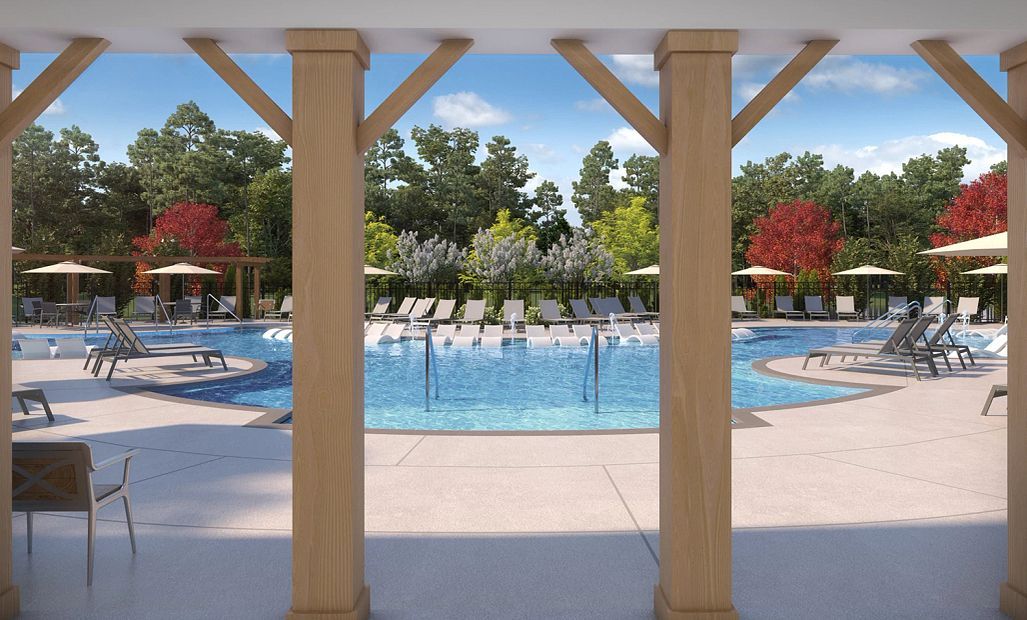 Future Swimming Pool Rendering