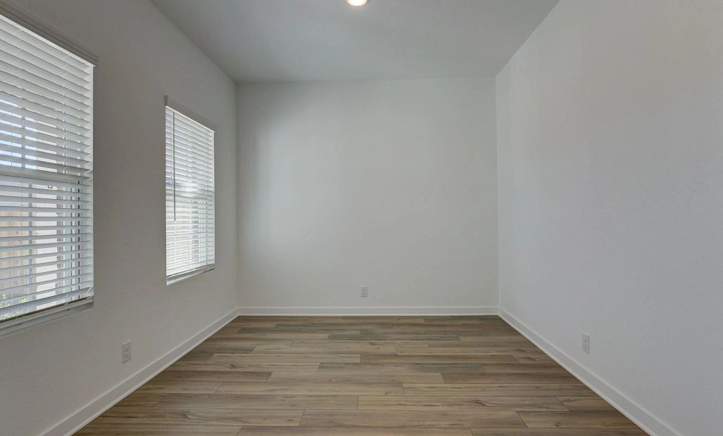 Representative photo of Study