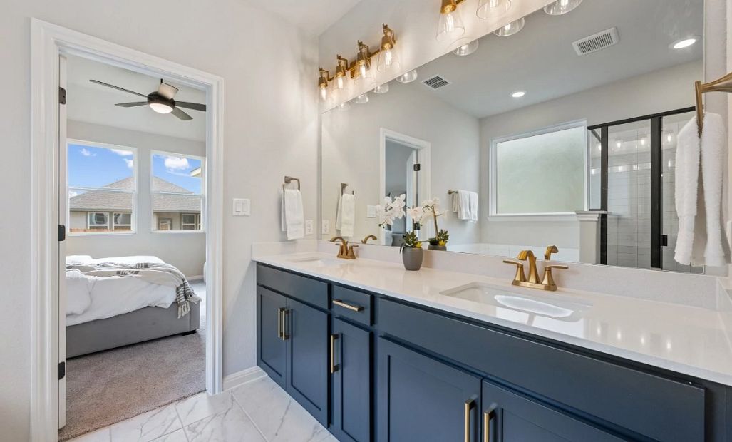 Owner's Bathroom