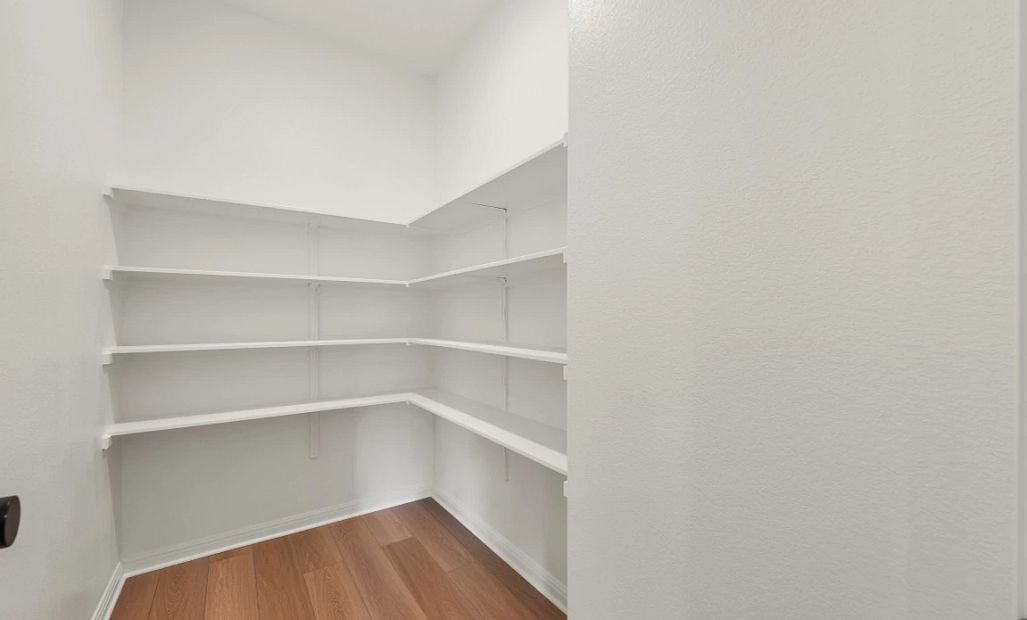 Walk In Pantry