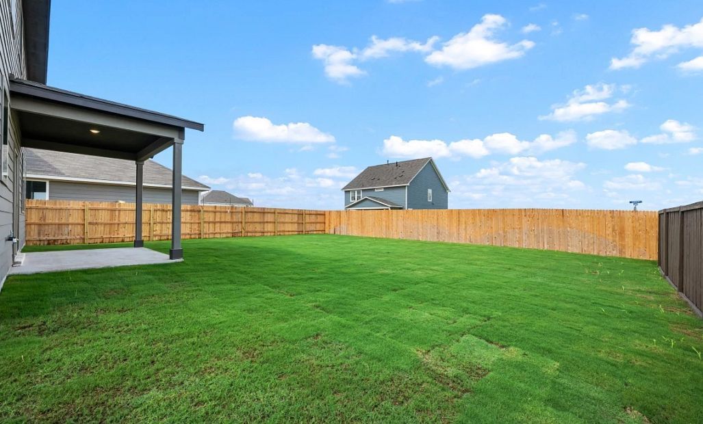 Backyard