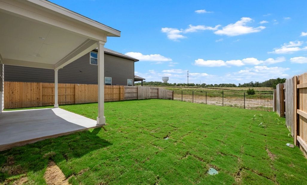 Backyard