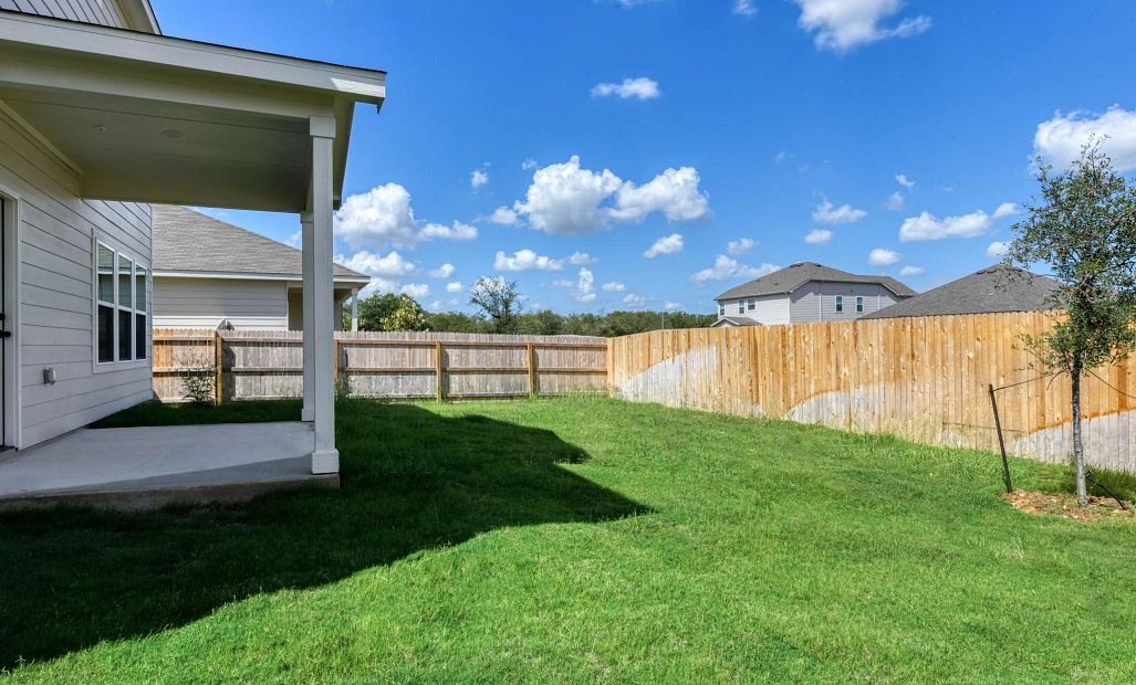 Backyard