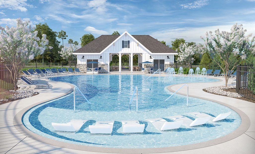 Future Swimming Pool Rendering