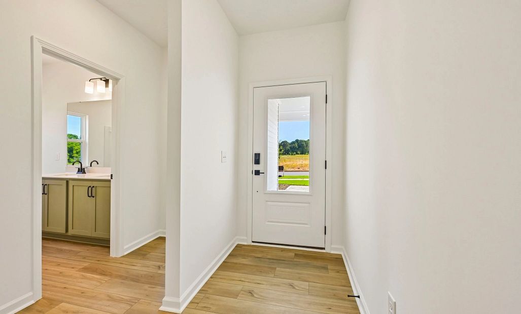 Foyer featuring the AW Collection® Rosemary - Natural light and bold color create grounded warmth.