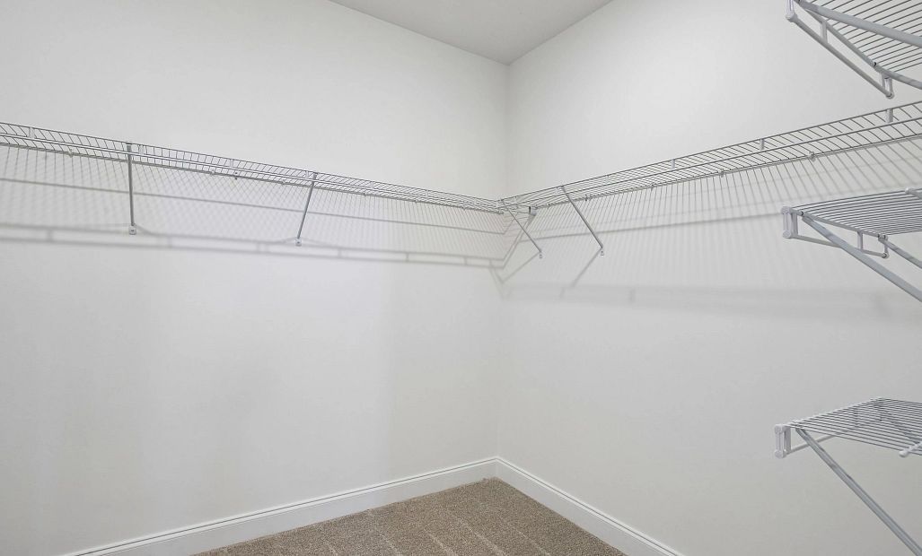 Primary Walk-in Closet
