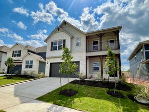 112 Brislecone Pass (Knox)
