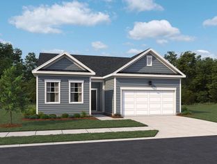Canyon II - Cedars at Cane Ridge | 55+ Active Adult: Antioch, Tennessee - Ashton Woods