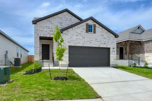Ladybird - Hennersby Hollow: San Antonio, Texas - Ashton Woods