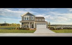 Tea Farm: Ravenel, South Carolina - Ashton Woods