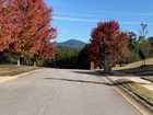 Deer Creek Crossing - Gainesville, GA