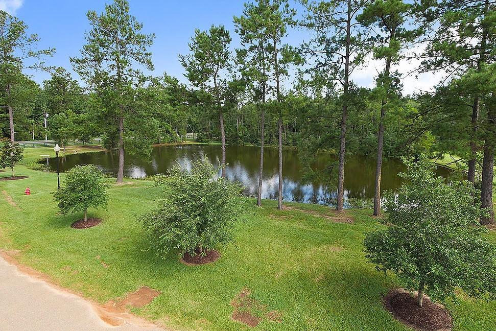 Audubon Trace of Robert