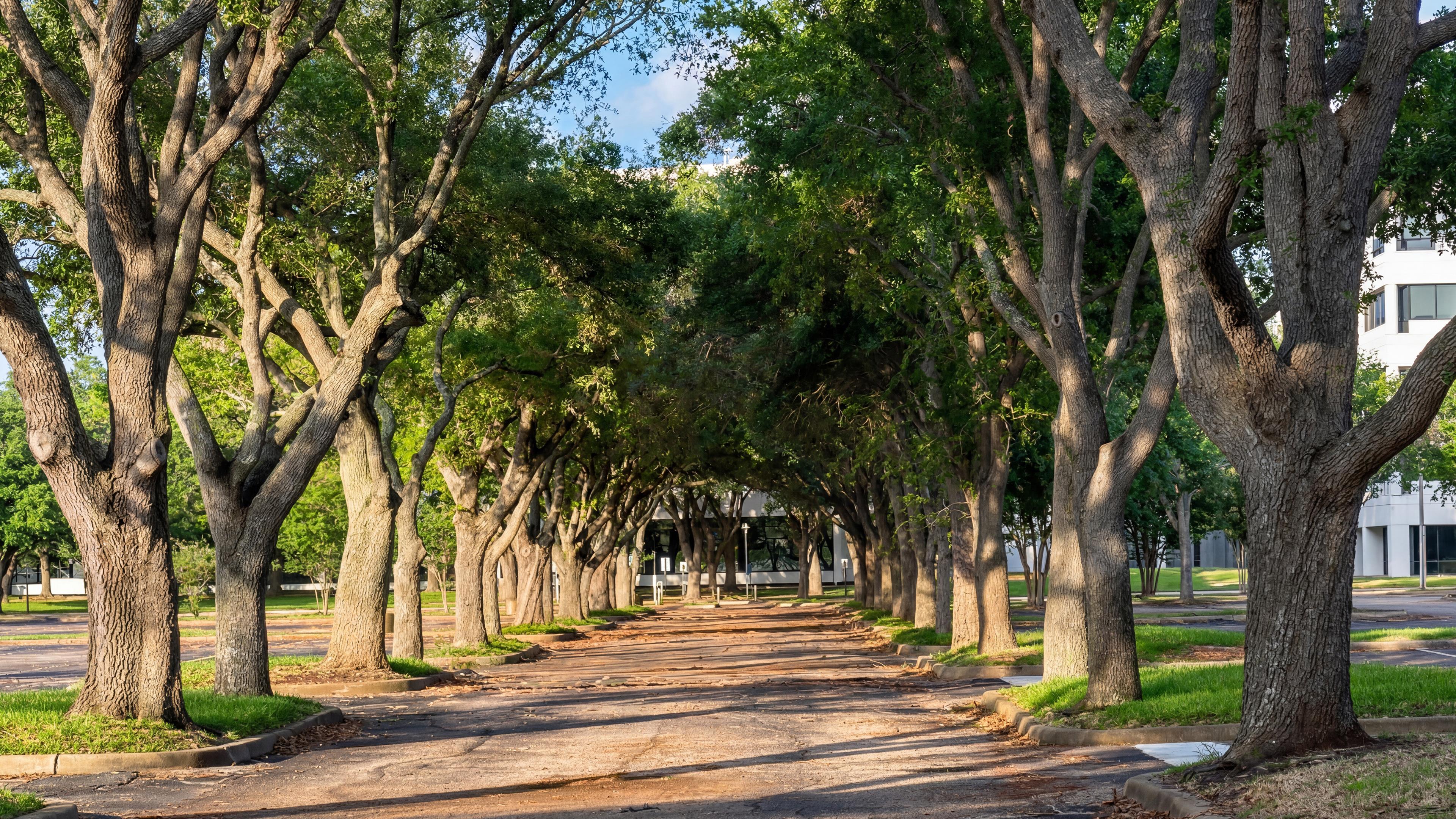 casa en Lake Pointe Green IN Sugar Land por Lovett Homes