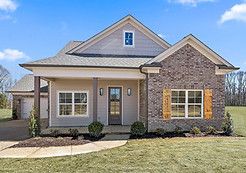 Elderberry - Sky Lake Construction: Nesbit, Tennessee - Sky Lake Construction