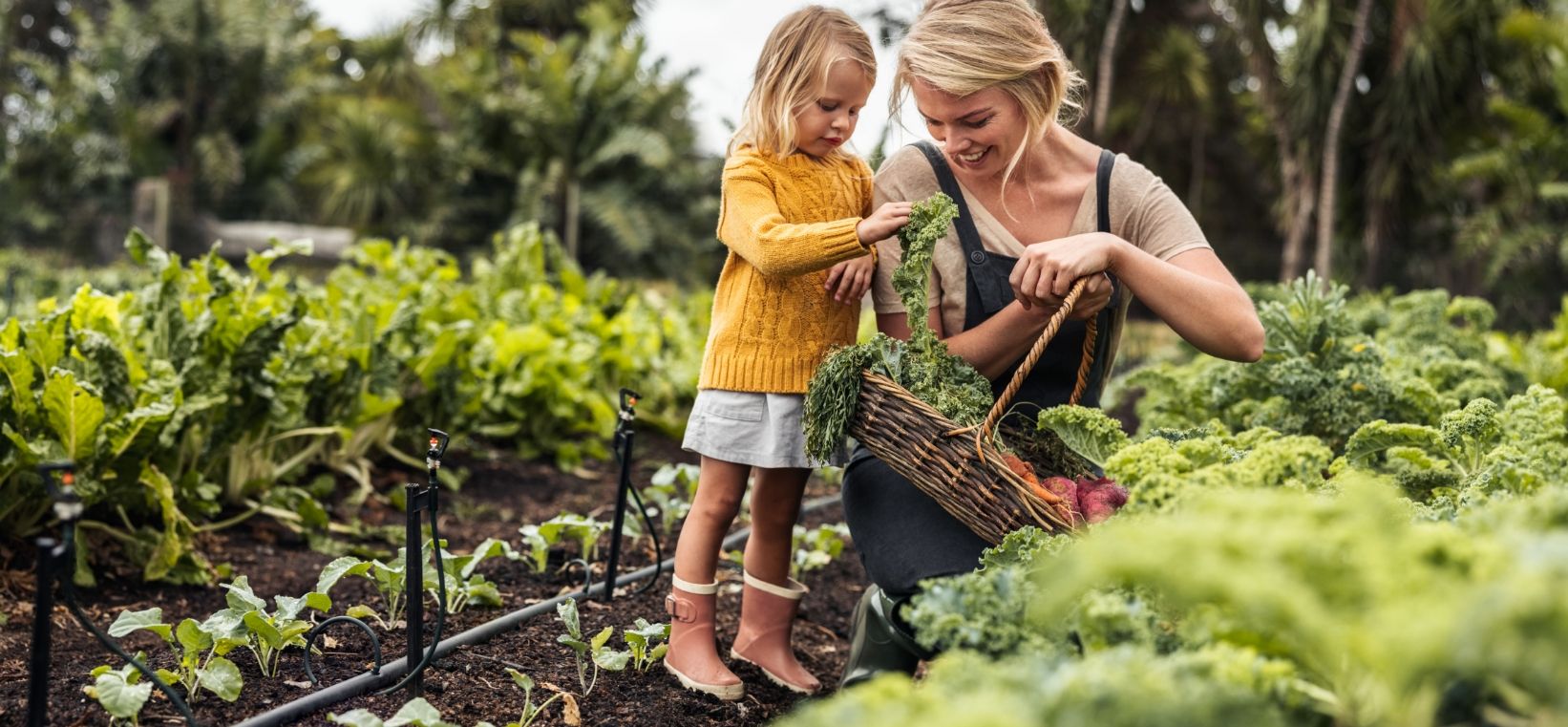 Where Life Grows Abundant - Plano, TX