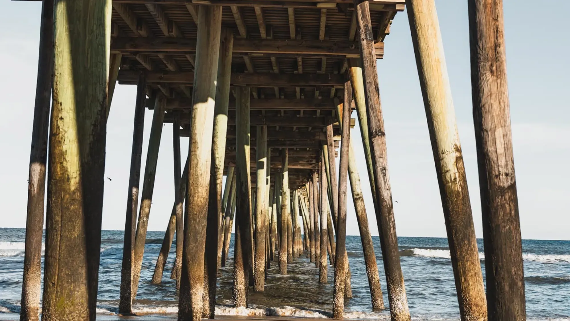 Lakewood Spot Builds - Virginia Beach, VA