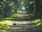 The Oaks At Hickory Hill - Ashland, VA