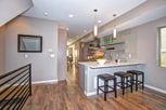 20 S Grant St. by Dirc Homes LLC in Denver Colorado