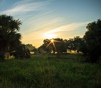 Port Labelle - Heartland Homes of Florida, LLC.: Labelle, Florida - Heartland Homes of Florida, LLC.