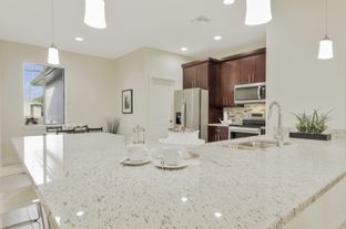 Genova Bay - Option One Builders: Cape Coral, Florida - Option One Builders