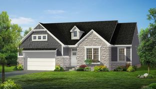 Newport - Maple Glen: Wixom, Michigan - Pine Cove Building Company