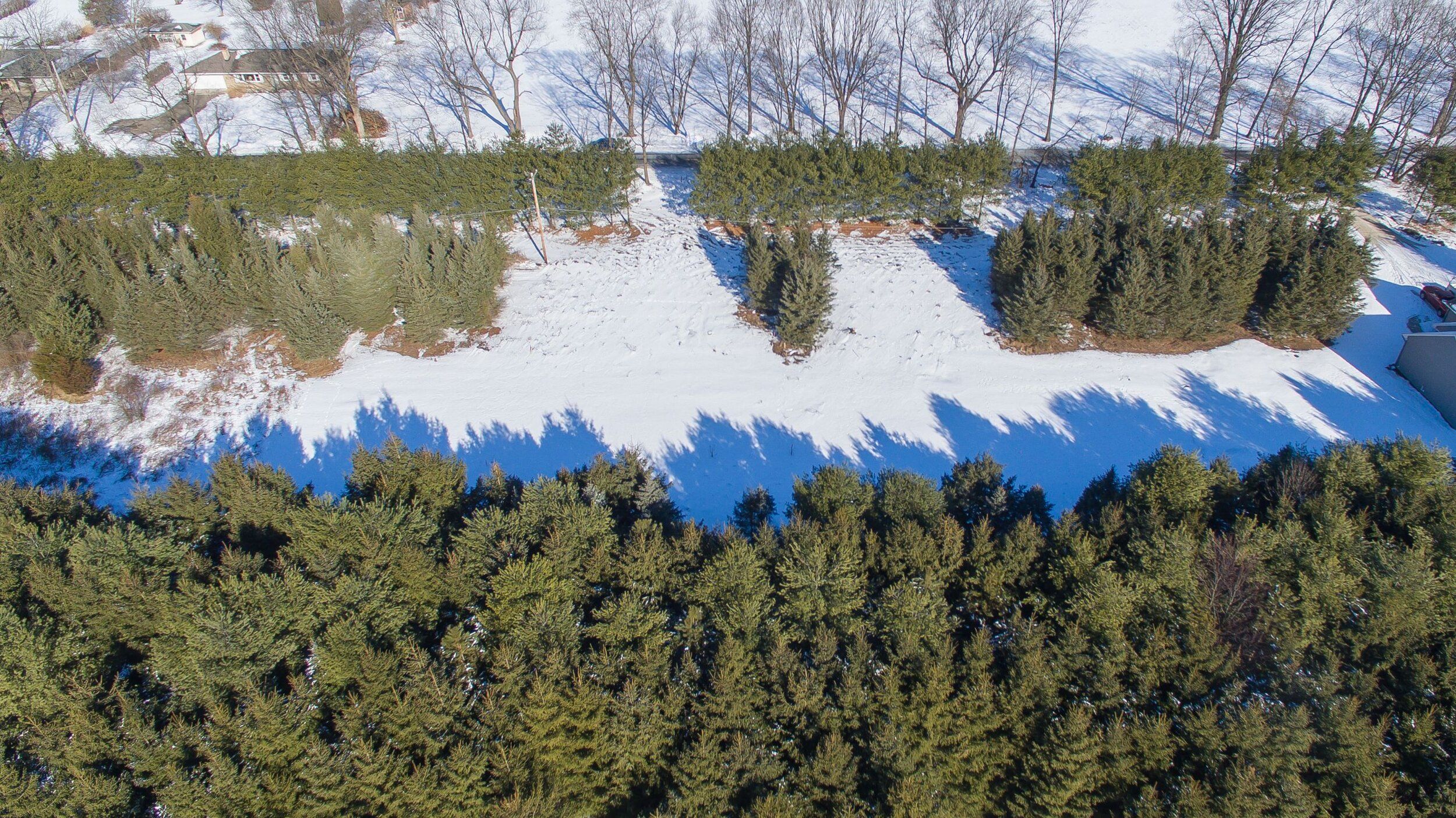 Meadowshire - Richland, MI