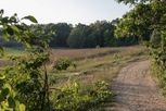 Marshes by AVB in Kalamazoo-Battle Creek Michigan