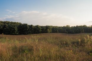 Marshes por AVB en Kalamazoo-Battle Creek Michigan