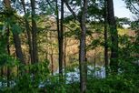 Marshes - Kalamazoo, MI